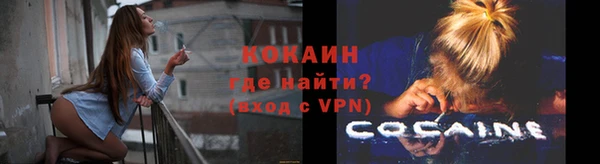 ГАЛЛЮЦИНОГЕННЫЕ ГРИБЫ Заводоуковск
