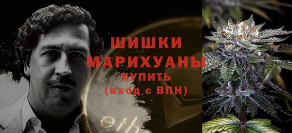 ГАЛЛЮЦИНОГЕННЫЕ ГРИБЫ Заводоуковск