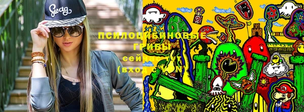 ГАЛЛЮЦИНОГЕННЫЕ ГРИБЫ Заводоуковск